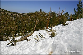 Winterliche Kulisse